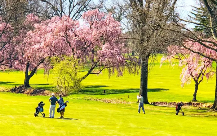 Mercedes-Benz Service with WESedan Arrive at Woodmont Country Club in Style